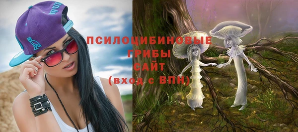 прущий лед Бронницы