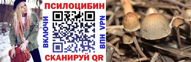 Галлюциногенные грибы GOLDEN TEACHER OMG онион Южа